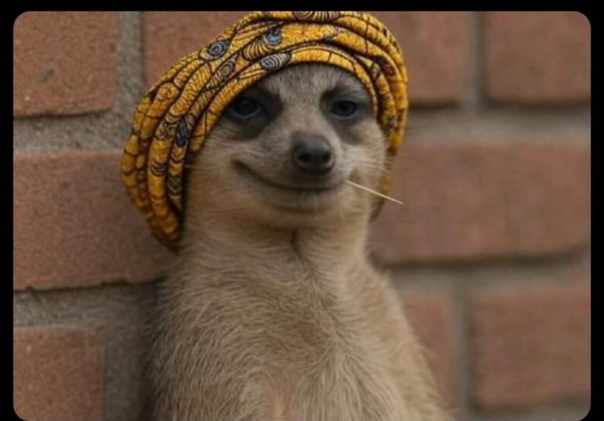 Umuada watching you offload Beta malt when Amstel malt dey list 🤣🤣🤣