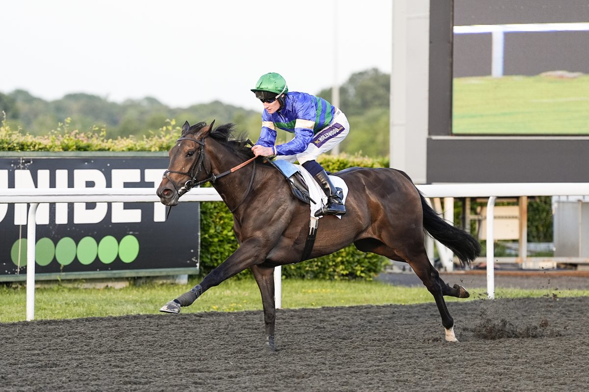 We are racing today with an 8 race card!🏇

Gates Open: 4:00PM
First Race: 5:30PM
Last Race: 9:00PM

Tickets are available to purchase on the gate so come down and join us!🎟