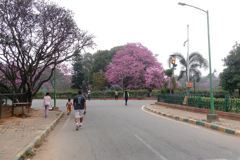 Mongabay India (@mongabayindia) on Twitter photo “Adding green spaces near population centres or in areas with the least amount of existing nature could provide about twice the health benefits of adding green spaces uniformly" - <a href="/GWpublichealth/">Milken Institute SPH</a> study. <a href="/ClimateResearch/">Santonu Goswami</a> <a href="/azimpremjiuniv/">Azim Premji University</a>
✒️<a href="/nikhil_2992/">Nikhil Sreekandan</a>
india.mongabay.com/2025/06/urban-… “Adding green spaces near population centres or in areas with the least amount of existing nature could provide about twice the health benefits of adding green spaces uniformly" - <a href="/GWpublichealth/">Milken Institute SPH</a> study. <a href="/ClimateResearch/">Santonu Goswami</a> <a href="/azimpremjiuniv/">Azim Premji University</a>
✒️<a href="/nikhil_2992/">Nikhil Sreekandan</a>
india.mongabay.com/2025/06/urban-…