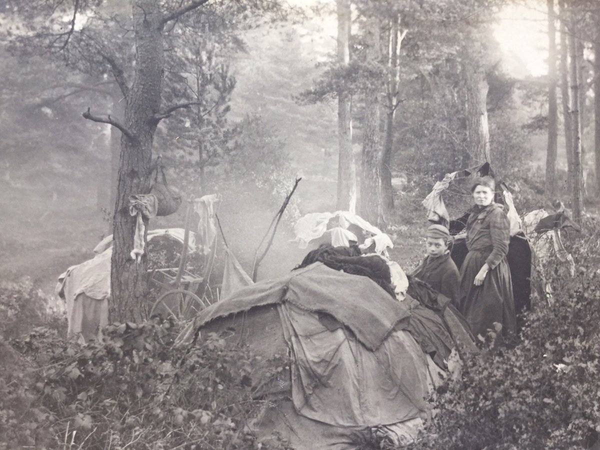 Surrey has a unique Gypsy, Roma and Traveller history, being situated on traditional seasonal travelling routes between Kent and the New Forest. This rare image shows a Gypsy family with traditional bender tents camped at High Ashes Woods near Dorking from 1896. #GRTHM25