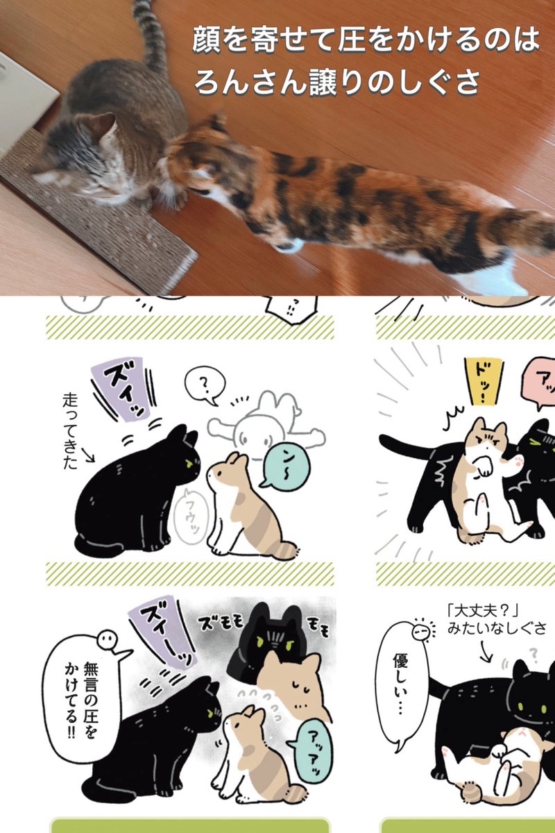みたさんは行動の端々からろんさんやまめさんからされた事を受け継いでいるのがわかってほんまにかわいいんですよ 絵日記描いてる醍醐味ですねえ
ろんさんはそんなキツツキみたいにガンガン圧かけないけどそこはみたらしエディションということで 