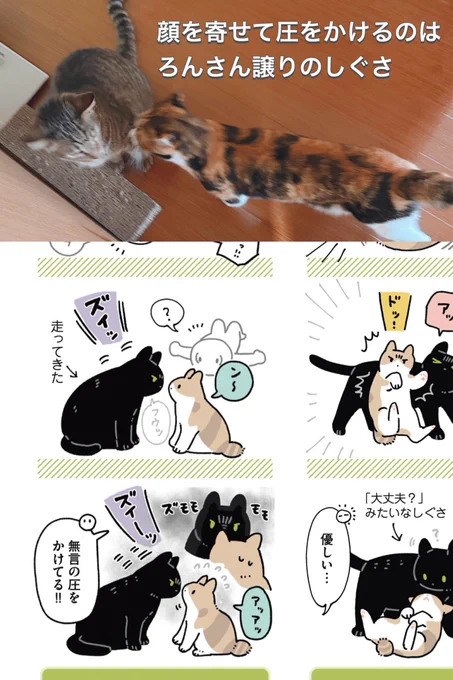みたさんは行動の端々からろんさんやまめさんからされた事を受け継いでいるのがわかってほんまにかわいいんですよ 絵日記描いてる醍醐味ですねえ
ろんさんはそんなキツツキみたいにガンガン圧かけないけどそこはみたらしエディションということで 