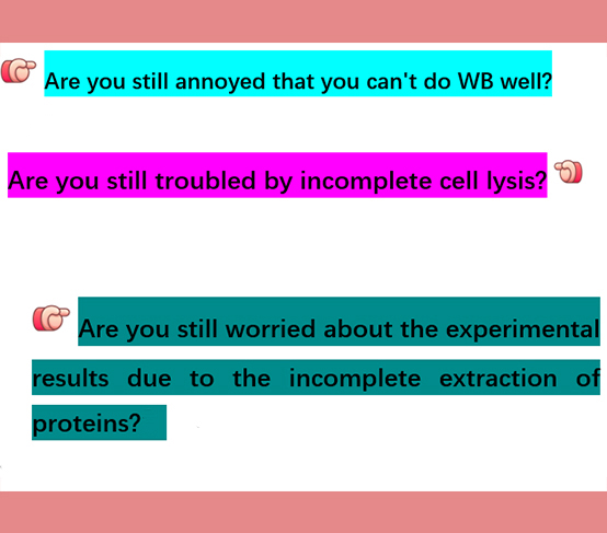 EnkiLifeScience's tweet image. 🔬 Cell/Tissue Lysis Buffer: Extract More, Worry Less!

⚠️ Bye-bye incomplete lysis:
Weak signals • Smeared bands • Failed transfers

✅ Key Edge:
Max protein yield—no extra inhibitors needed!

Complete lysis = Reliable WB 🧪

#WesternBlot #ProteinExtraction #LabHacks
