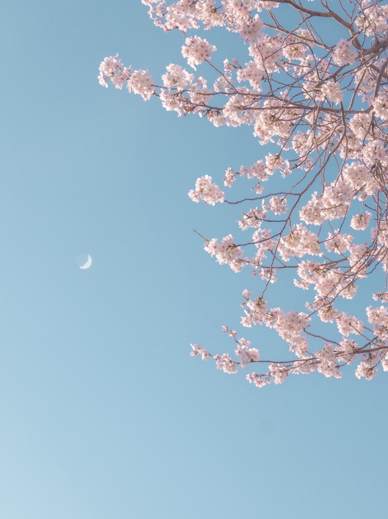 ほどける空に、月の声