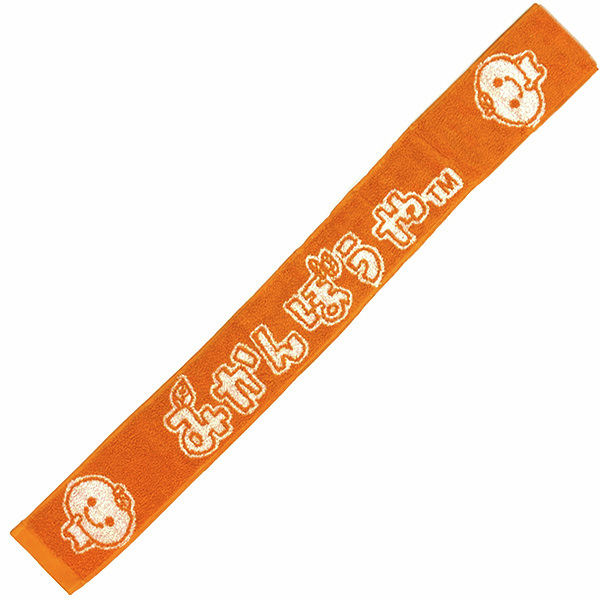 あつ～い夏を、乗り越えよう…！ クールネックタオルが発売中🌞 保冷剤