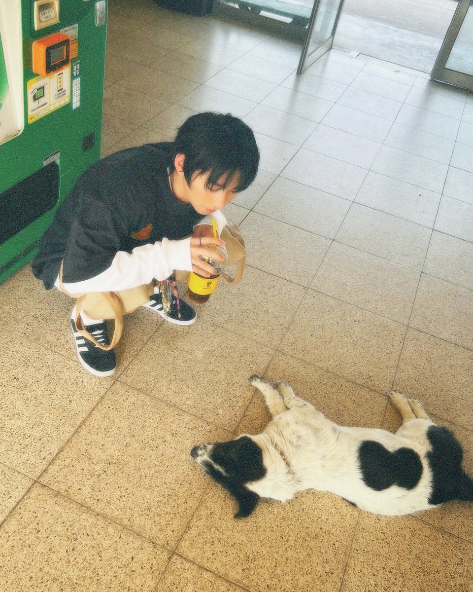 dallyeorahani's tweet photo. 한이 등장 https://t.co/QbXGZYFqFr
