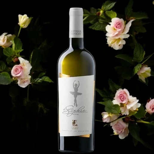 Sophie: Clear crystalline and pale golden yellow, with green reflections. Intense bouquet with aromas of rose, acacia and saffron flowers, complemented with fine hints of vanilla and citrus.

Product of Moldova

#Sophie #moldova #winelovers