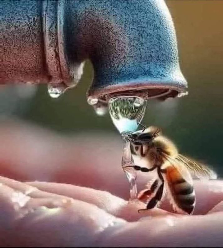 “Allah'ı hatırlatan zorluk, Allah'ı unutturan bolluktan kıymetlidir.”