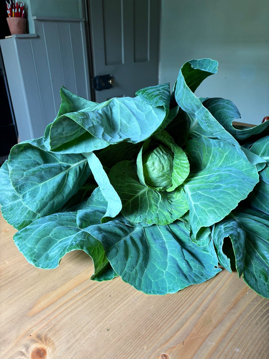 Paul Couchman - Regency Cook tweet media