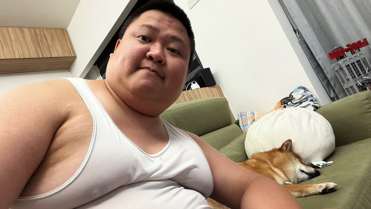 PandaYo tweet media