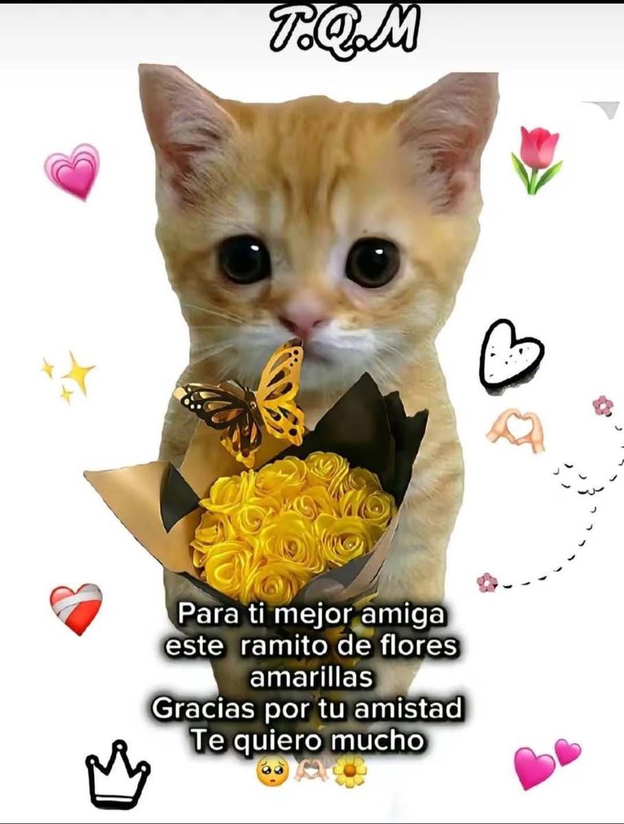 MARIBEL 🦋🦋☘️🦋🦋 (@mari777bel) on Twitter photo <a href="/macasaga2/">M.Carmen 💛🤗🍀</a> <a href="/Iria_Celta/">Iria🌸</a> <a href="/Gloria26326305/">GLORIA 💙</a> <a href="/Marimar66842849/">Marimar</a> <a href="/AsomadaAlEspejo/">Espejo Azul</a> <a href="/Paquito0003/">Paquito</a> <a href="/sonajitaplatea/">sonajita</a> <a href="/arancha2458/">Arancha</a> <a href="/mychurry56699/">@MyChur👠y</a> <a href="/AnaMemi29/">Any Marea Azul 💙💙💙🌊🌊🌊</a> <a href="/Mariska__6/">Mariska 😎🤍🍀</a> <a href="/tuneadora432/">Santa Paciencia</a> <a href="/Marea_Azul24/">Siempre Marea💙💙💙</a> <a href="/JulietaSer66074/">Julieta Serrano</a> <a href="/Lanzar25/">Lanza</a> <a href="/Azul_MAR0050/">A z U l M a R 💫⭐️💫</a> <a href="/campoy64160/">caballa 🌊💙💦</a> <a href="/NT83631763/">N. T</a> <a href="/Marisma1424/">Marisma14</a> <a href="/PaulaOA03/">Paula</a> <a href="/acelerando2024/">Acelerando</a> <a href="/Objetiva24/">Objetiva</a> <a href="/macasaga1/">MªCarmen 🫂⚖️🥰</a> <a href="/Rogelia50318250/">Rogelia</a> <a href="/AlexandraEsAzul/">Alexandra</a> <a href="/Marisol75752342/">Mari</a> <a href="/Cloe_bailarina/">CLOE</a> <a href="/Madeira_32/">Mirya</a> <a href="/Isla_fantasia2/">Fantasía</a> <a href="/iren67_afroditi/">Iren 67⚖️💧💦🌊💙</a> <a href="/DylaneAzul/">Dylane</a> <a href="/Gloriapizzamig1/">Gloria_pizzamiglio</a> <a href="/TalVez57/">Siempre</a> <a href="/Manolito0003/">Manolito</a> <a href="/mmloopez/">Maribel Márquez López</a> <a href="/elsa09164082/">elsa</a> <a href="/Flor33180171/">Flor</a> <a href="/julietaano65/">Julieta Serrano</a> <a href="/Luisa43833694/">EN💙CONTRA💦DE💙LAS💦INJUSTICIAS</a> <a href="/NT40912409/">NT</a> <a href="/Aterriza62_1/">Aterriza62</a> <a href="/Aterriza62/">Angela</a> <a href="/mamaripoll/">María Ripoll🦉🦉🦉🎸🎤🏀👩❤️👩</a> <a href="/mcg_mlg/">Maria del Carmen Gomez Miranda</a> <a href="/FuerzaMareaAzul/">LaMareaNoSeRinde</a> <a href="/PaulaO2005/">Paula</a> <a href="/SilviaM74666942/">Silvia Mónica 🌊 🌊 🌊 ⚖️</a> <a href="/La1_tve/">La 1</a> 🌊 #YoMeRebelo25J
#YoMeRebelo26J 💙
▪️𝑯𝒂𝒄𝒆𝒓 𝒅𝒂ñ𝒐 𝒑𝒐𝒓 𝒗𝒆𝒏𝒈𝒂𝒏𝒛𝒂, 𝒐𝒅𝒊𝒐, 𝒅𝒊𝒏𝒆𝒓𝒐..., 𝒉𝒂𝒄𝒆𝒓𝒍𝒐 𝒂 𝒍𝒐𝒔 𝒒𝒖𝒆 𝒕ú 𝒑𝒂𝒓𝒊𝒔𝒕𝒆, 𝒏𝒐 𝒑𝒖𝒆𝒅𝒆 𝒔𝒂𝒍𝒊𝒓 𝒈𝒓𝒂𝒕𝒊𝒔, 𝒏𝒊 𝒂𝒏𝒕𝒆 𝒍𝒂 𝑱𝒖𝒔𝒕𝒊𝒄𝒊𝒂 𝒕𝒆𝒓𝒓𝒆𝒏𝒂𝒍, 𝒏𝒊 𝒍𝒂 𝒅𝒊𝒗𝒊𝒏𝒂. <a href="/macasaga2/">M.Carmen 💛🤗🍀</a> <a href="/Iria_Celta/">Iria🌸</a> <a href="/Gloria26326305/">GLORIA 💙</a> <a href="/Marimar66842849/">Marimar</a> <a href="/AsomadaAlEspejo/">Espejo Azul</a> <a href="/Paquito0003/">Paquito</a> <a href="/sonajitaplatea/">sonajita</a> <a href="/arancha2458/">Arancha</a> <a href="/mychurry56699/">@MyChur👠y</a> <a href="/AnaMemi29/">Any Marea Azul 💙💙💙🌊🌊🌊</a> <a href="/Mariska__6/">Mariska 😎🤍🍀</a> <a href="/tuneadora432/">Santa Paciencia</a> <a href="/Marea_Azul24/">Siempre Marea💙💙💙</a> <a href="/JulietaSer66074/">Julieta Serrano</a> <a href="/Lanzar25/">Lanza</a> <a href="/Azul_MAR0050/">A z U l M a R 💫⭐️💫</a> <a href="/campoy64160/">caballa 🌊💙💦</a> <a href="/NT83631763/">N. T</a> <a href="/Marisma1424/">Marisma14</a> <a href="/PaulaOA03/">Paula</a> <a href="/acelerando2024/">Acelerando</a> <a href="/Objetiva24/">Objetiva</a> <a href="/macasaga1/">MªCarmen 🫂⚖️🥰</a> <a href="/Rogelia50318250/">Rogelia</a> <a href="/AlexandraEsAzul/">Alexandra</a> <a href="/Marisol75752342/">Mari</a> <a href="/Cloe_bailarina/">CLOE</a> <a href="/Madeira_32/">Mirya</a> <a href="/Isla_fantasia2/">Fantasía</a> <a href="/iren67_afroditi/">Iren 67⚖️💧💦🌊💙</a> <a href="/DylaneAzul/">Dylane</a> <a href="/Gloriapizzamig1/">Gloria_pizzamiglio</a> <a href="/TalVez57/">Siempre</a> <a href="/Manolito0003/">Manolito</a> <a href="/mmloopez/">Maribel Márquez López</a> <a href="/elsa09164082/">elsa</a> <a href="/Flor33180171/">Flor</a> <a href="/julietaano65/">Julieta Serrano</a> <a href="/Luisa43833694/">EN💙CONTRA💦DE💙LAS💦INJUSTICIAS</a> <a href="/NT40912409/">NT</a> <a href="/Aterriza62_1/">Aterriza62</a> <a href="/Aterriza62/">Angela</a> <a href="/mamaripoll/">María Ripoll🦉🦉🦉🎸🎤🏀👩❤️👩</a> <a href="/mcg_mlg/">Maria del Carmen Gomez Miranda</a> <a href="/FuerzaMareaAzul/">LaMareaNoSeRinde</a> <a href="/PaulaO2005/">Paula</a> <a href="/SilviaM74666942/">Silvia Mónica 🌊 🌊 🌊 ⚖️</a> <a href="/La1_tve/">La 1</a> 🌊 #YoMeRebelo25J
#YoMeRebelo26J 💙
▪️𝑯𝒂𝒄𝒆𝒓 𝒅𝒂ñ𝒐 𝒑𝒐𝒓 𝒗𝒆𝒏𝒈𝒂𝒏𝒛𝒂, 𝒐𝒅𝒊𝒐, 𝒅𝒊𝒏𝒆𝒓𝒐..., 𝒉𝒂𝒄𝒆𝒓𝒍𝒐 𝒂 𝒍𝒐𝒔 𝒒𝒖𝒆 𝒕ú 𝒑𝒂𝒓𝒊𝒔𝒕𝒆, 𝒏𝒐 𝒑𝒖𝒆𝒅𝒆 𝒔𝒂𝒍𝒊𝒓 𝒈𝒓𝒂𝒕𝒊𝒔, 𝒏𝒊 𝒂𝒏𝒕𝒆 𝒍𝒂 𝑱𝒖𝒔𝒕𝒊𝒄𝒊𝒂 𝒕𝒆𝒓𝒓𝒆𝒏𝒂𝒍, 𝒏𝒊 𝒍𝒂 𝒅𝒊𝒗𝒊𝒏𝒂.