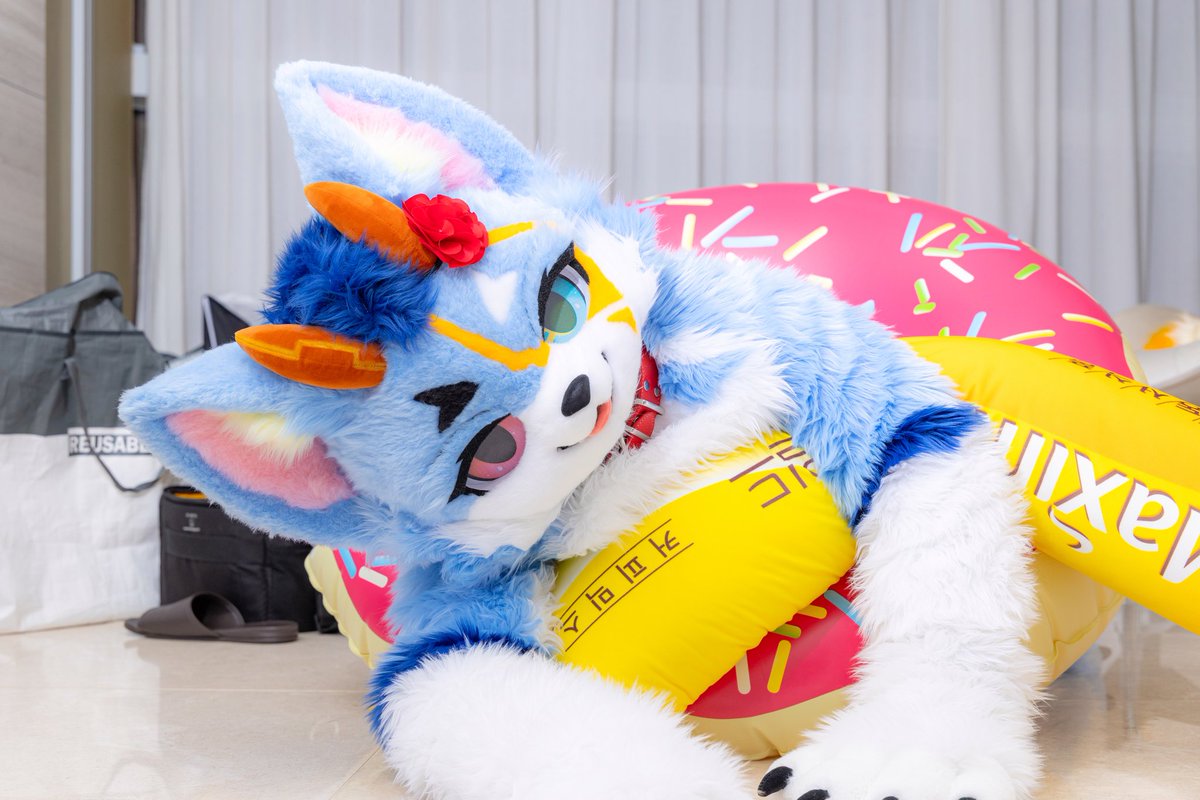 물놀이 가고싶어! 🏖

📷: <a href="/Ziva4444/">코쟁이</a>

#fursuit #FursuitEveryday