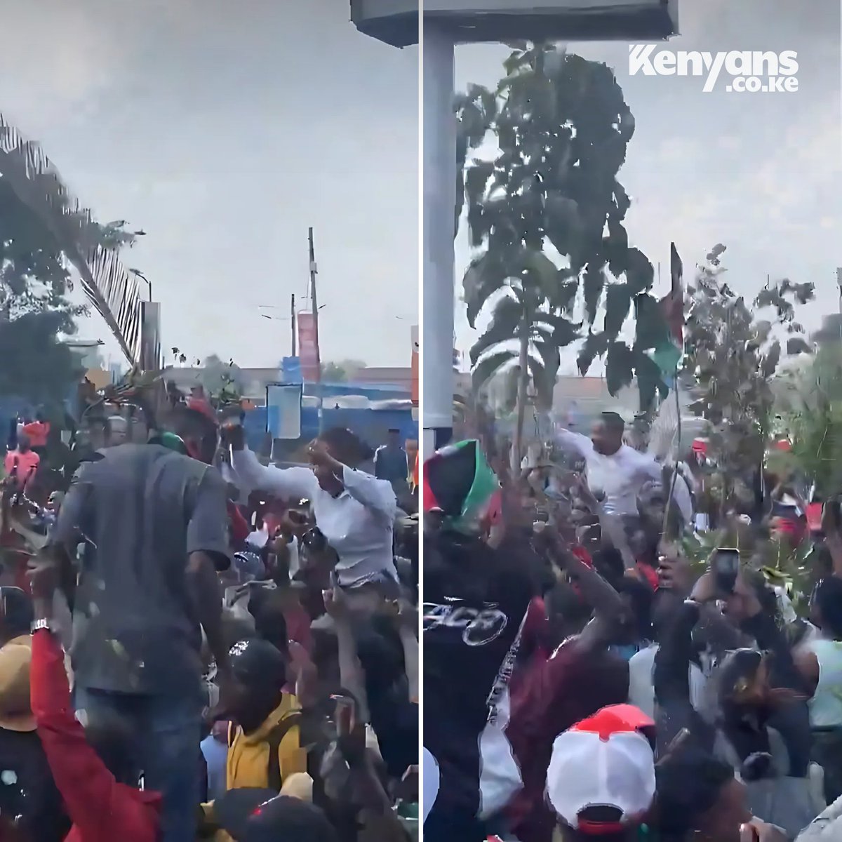Babu Owino carried by protestors along Moi Avenue
