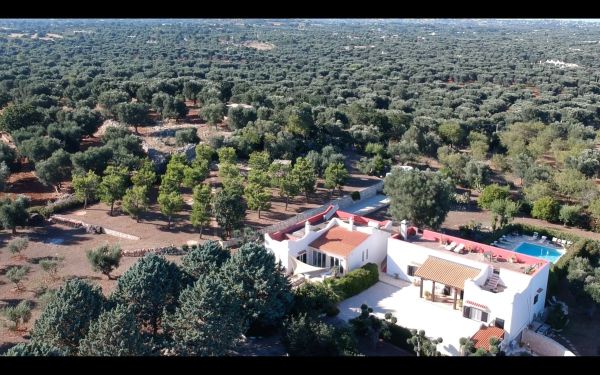 lizlevrome's tweet image. Thrilled to team up with Fabio Manduca, Driver to the Stars, for an unforgettable tour of Puglia - Fabio has curated the best sites&flavors of Italy's favorite getaway spot, including a winetasting at our villa near Ostuni! Looking forward to hosting you!
exceptionaljourneys.net/upcoming-tours…