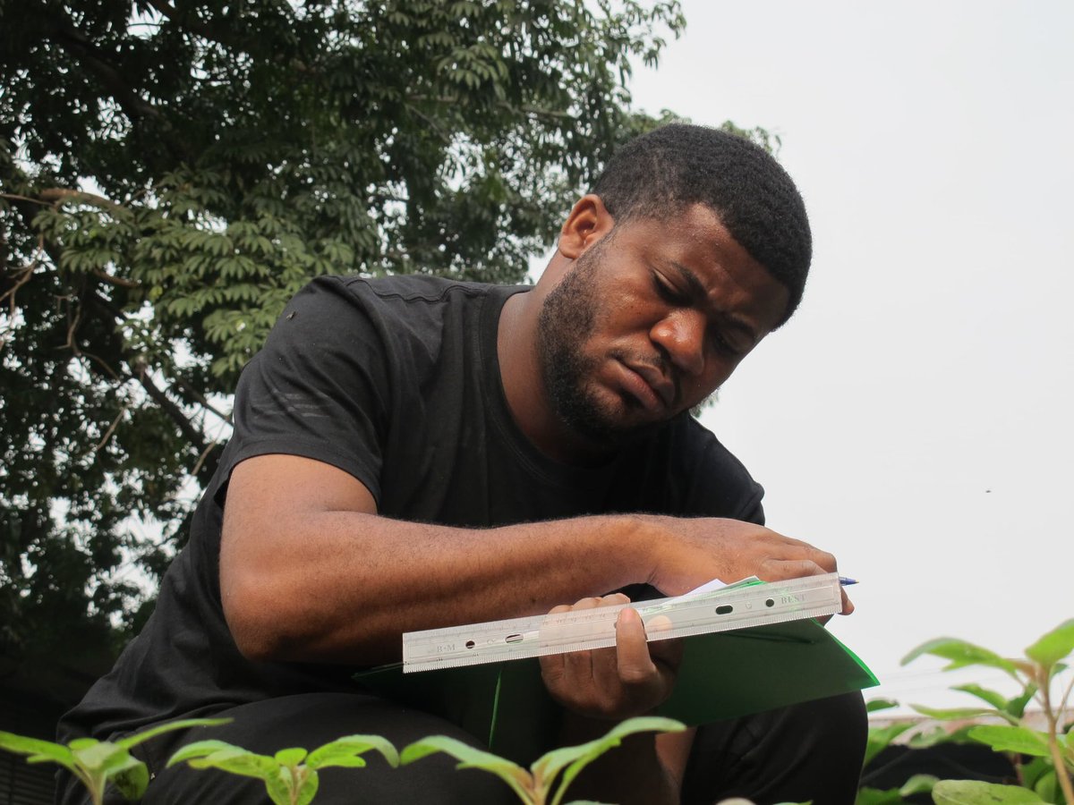 Bornagues🇨🇩Kubakidi tweet media