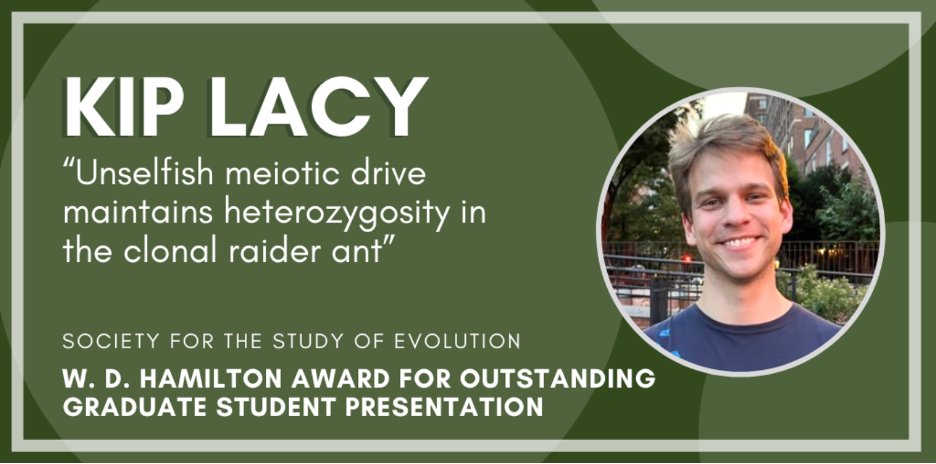 RockefellerUniv's tweet image. Kip Lacy (@MendelsLOLs) of @DanielKronauer's lab has won the W. D. Hamilton Award for Outstanding Graduate Student Presentation from @sse_evolution for his talk "Unselfish meiotic drive maintains heterozygosity in the clonal raider ant." Congrats! evolutionsociety.org/index.php?modu…