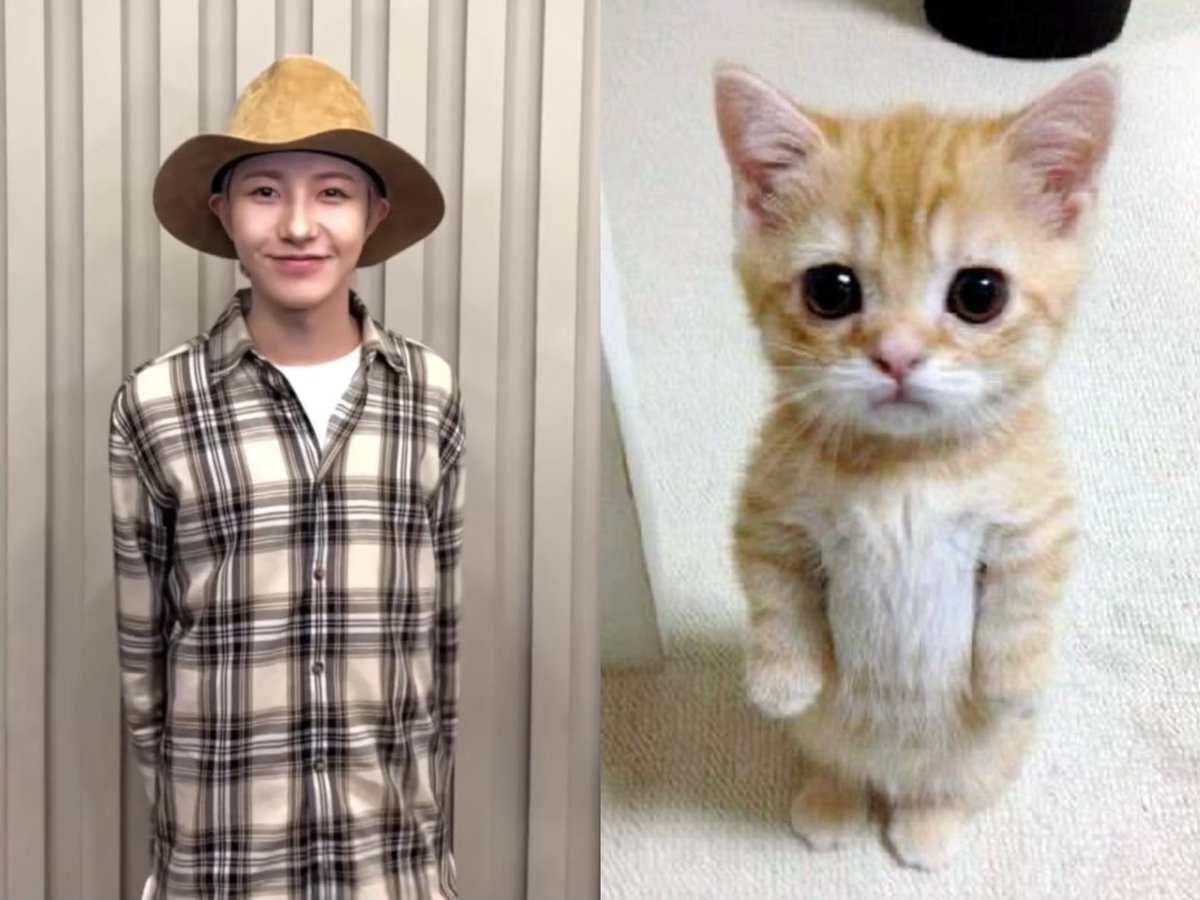 smol <a href="/hutngrenjun/">.</a>