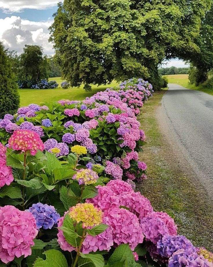 Good morning and Happy Hump Day!