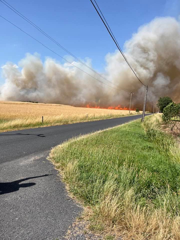asso_psfdf's tweet photo. 🔥 #Feu de végétation en cours commune de #Lorlanges [Haute-Loire - 43]

ℹ️ Secteur Clamont
__

📸 Sébastien Médard

🚫Évitez le secteur
🚒Facilitez l'accès aux secours

#incendie #FeuxDeForêt #HauteLoire https://t.co/FeyN8gXdrR