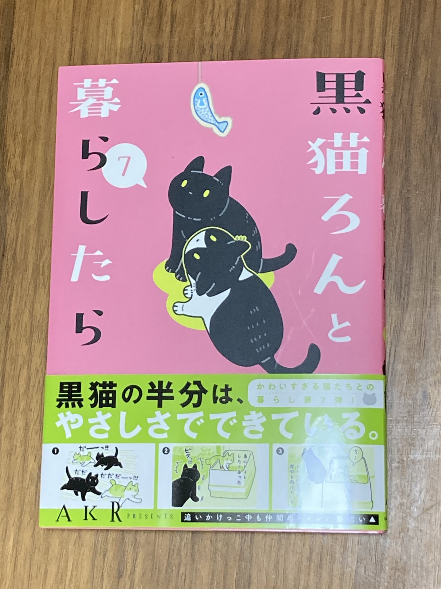 囀る三毛猫 on X: 