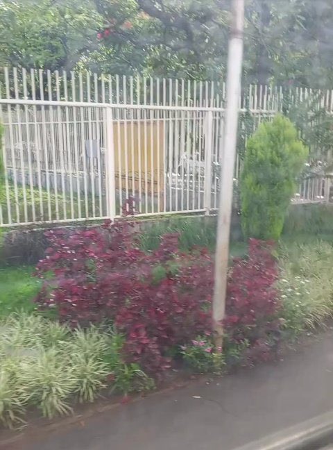 This is the gate 👀.....