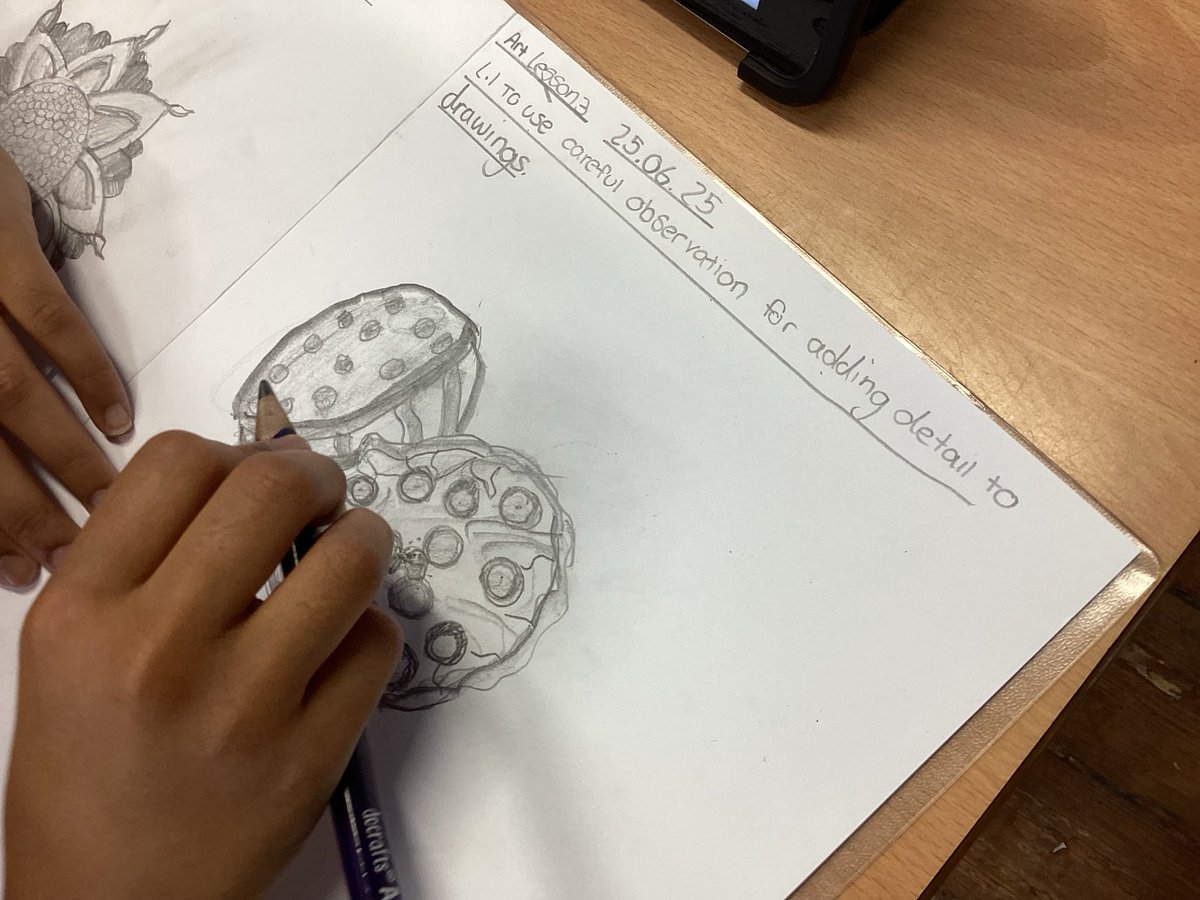 MayflowerSch's tweet photo. In Hokusai Class we used careful observation for adding detail to drawings.
#Art #Observationaldrawing #Year4 #HokusaiClass #LKS2 https://t.co/uQ6XOzBdLA