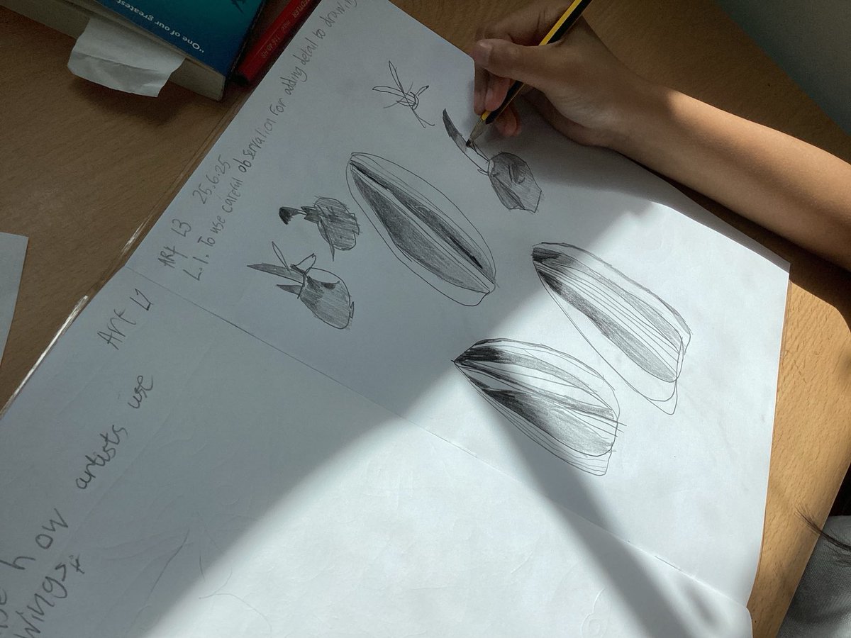 MayflowerSch's tweet photo. In Hokusai Class we used careful observation for adding detail to drawings.
#Art #Observationaldrawing #Year4 #HokusaiClass #LKS2 https://t.co/uQ6XOzBdLA