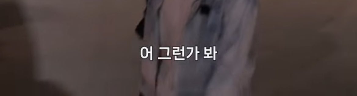 궁전으로 갈수도 있어