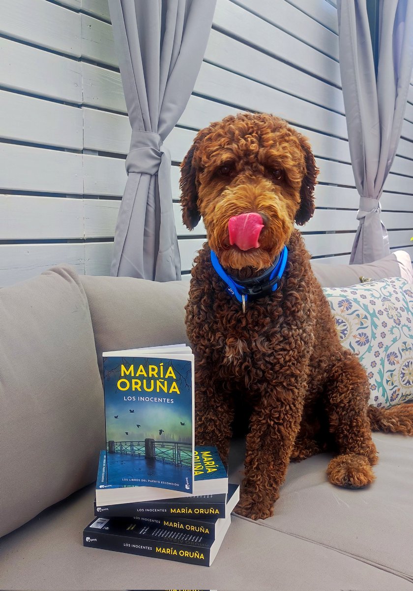 maria_oruna's tweet photo. Ya en casa la segunda impresión en bolsillo de "Los Inocentes", sexto y último misterio de la serie de "Los Libros del Puerto Escondido". 

#LosInocentes
@Booket_Planeta @Planetadelibros https://t.co/hONI6ouwyG