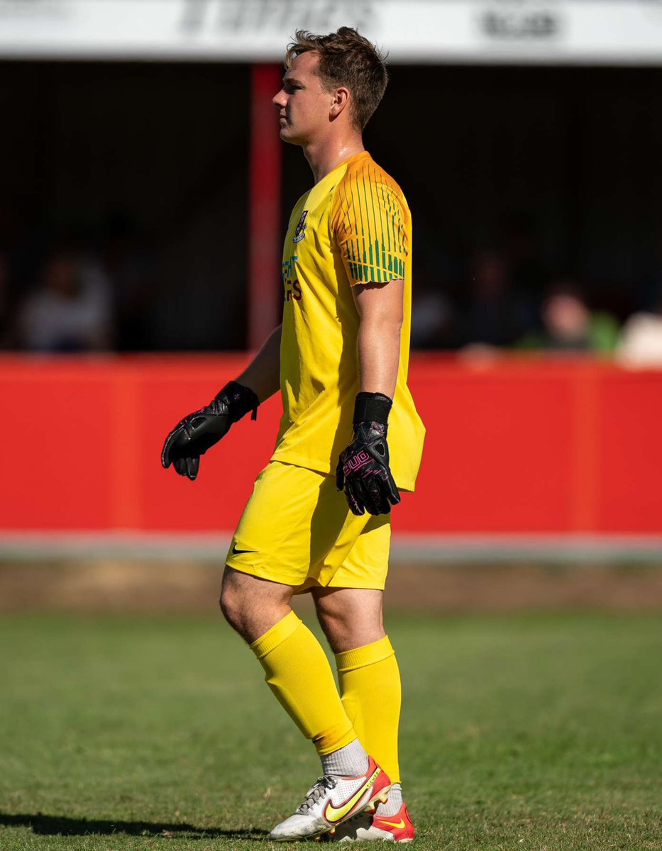 Free Agent Showcase tweet media