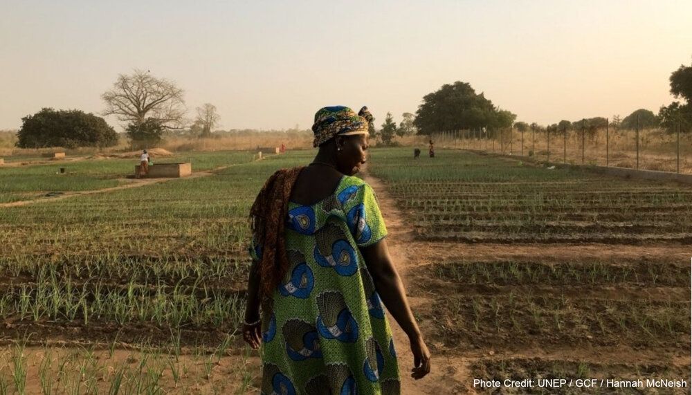 Coming up in August, GEO will be at NAP Expo 2025 in Lusaka, Zambia.

This is where countries get support on their strategic plans to identify and address medium- and long-term priorities for adapting to the impacts of climate change. 

Find out more and sign up ⤵️