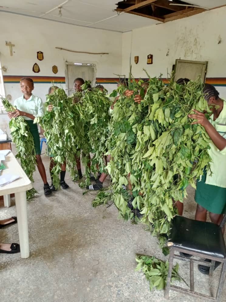 Life-ND Project tweet media