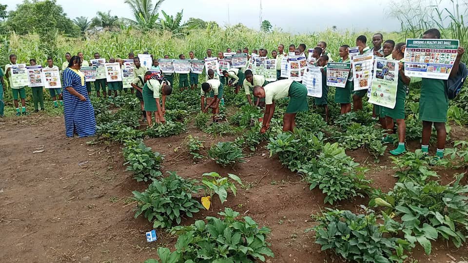 Life-ND Project tweet media