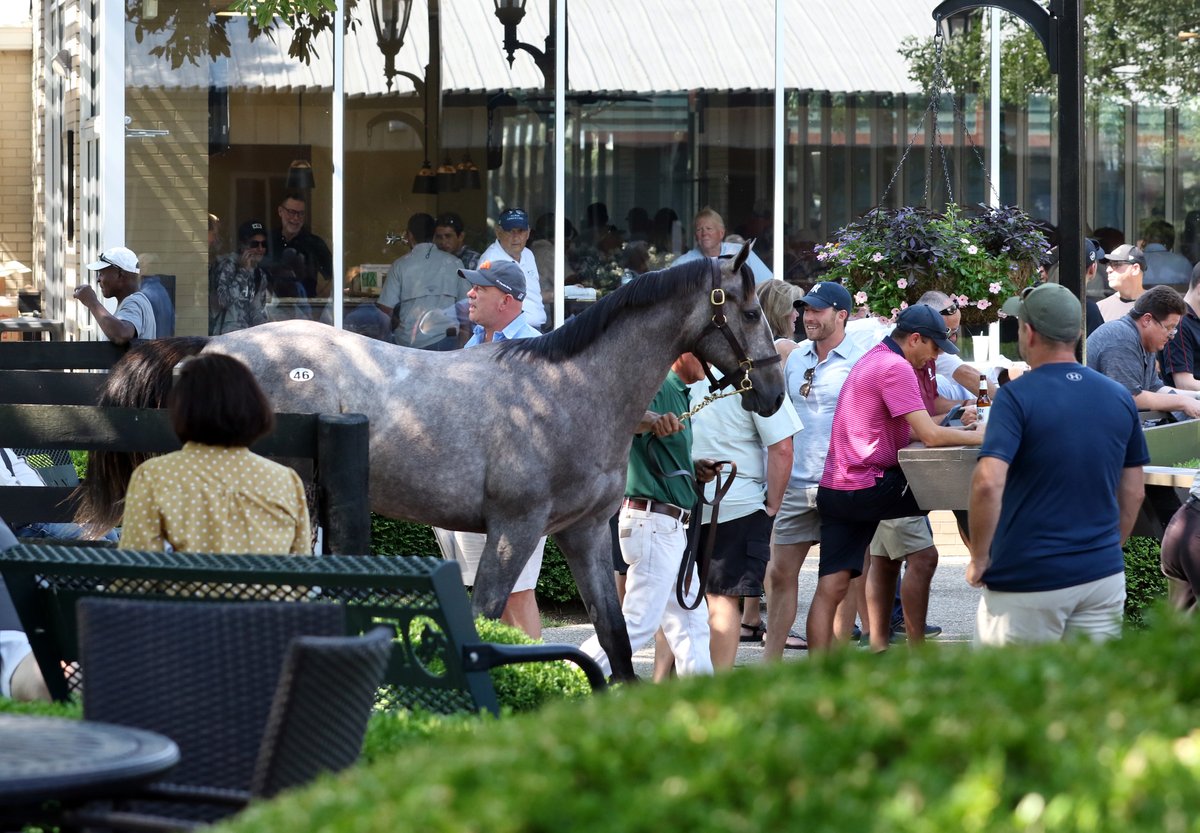 Fasig-Tipton will award a bonus of $25,000 to the trainer that purchases the highest number of yearlings at its upcoming July Selected Yearling Sale.

Learn more 👉 fasigtipton.co/3HVLEQ1