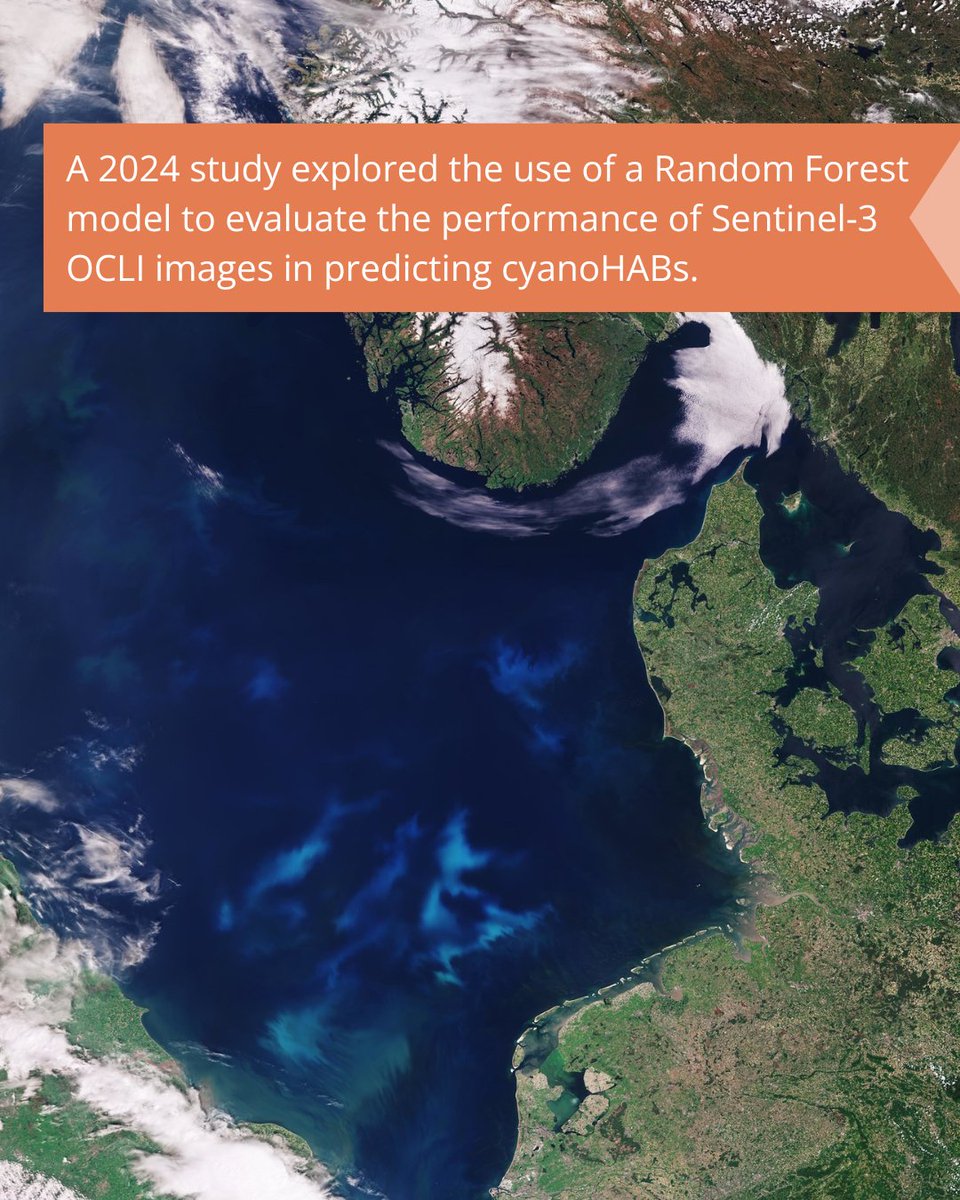 Cyanobacterial harmful algal blooms (cyanoHABs) monitoring has evolved past the discrete sampling followed by lab analyses to real-time measurements and satellite observations.

Take a closer look ➡️ lakescientist.com/research-brief…

<a href="/OhioStateFABE/">Ohio State FABE</a> <a href="/Arcadis_NA/">Arcadis North America</a> <a href="/OSUEnvironment/">School of Environment and Natural Resources (SENR)</a>
