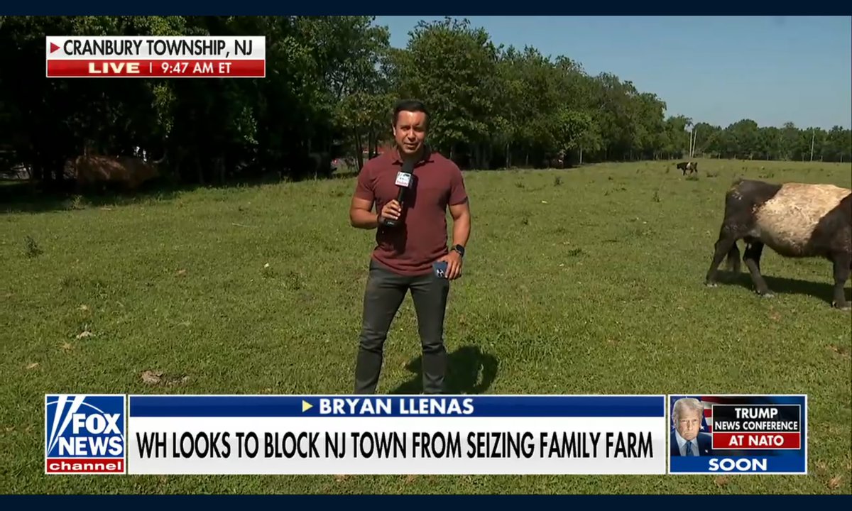 CABLE NEWS WATCHER (@fnc_ladies_rule) on Twitter photo 🐮 <a href="/AmericaNewsroom/">America's Newsroom</a>
<a href="/BryanLlenas/">Bryan Llenas</a> reporting amongst the cows! And he's hoping no bulls are around!
I hope Byan was careful where he walked and wasn't wearing good shoes. 🐮 <a href="/AmericaNewsroom/">America's Newsroom</a>
<a href="/BryanLlenas/">Bryan Llenas</a> reporting amongst the cows! And he's hoping no bulls are around!
I hope Byan was careful where he walked and wasn't wearing good shoes.