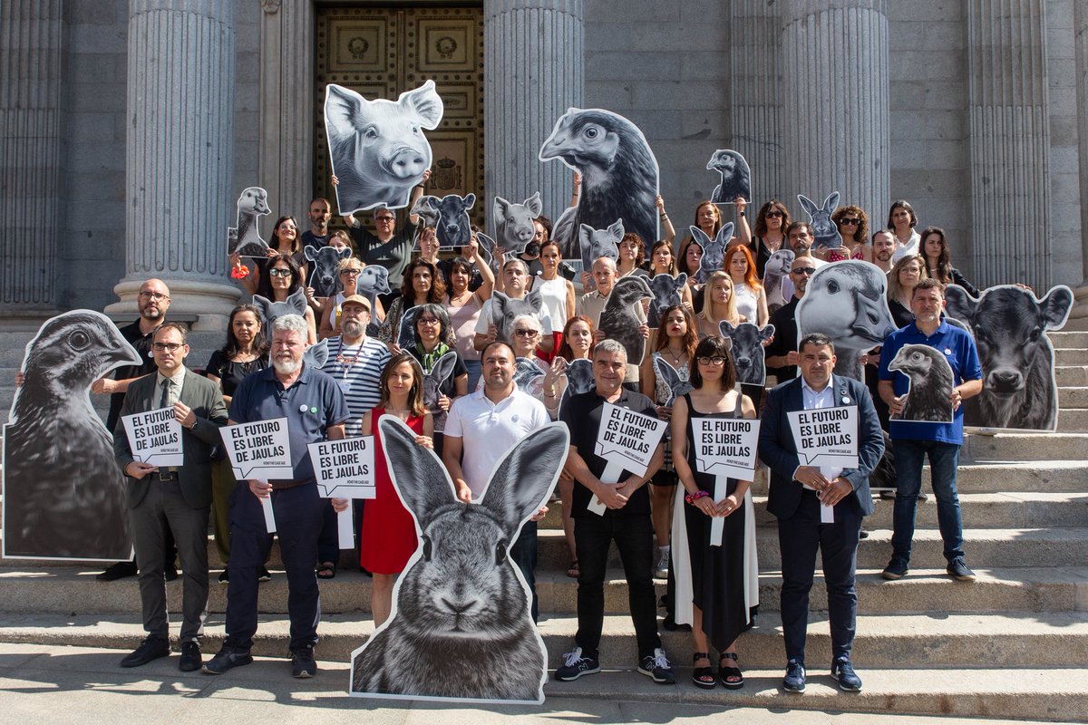 CIWF_ES's tweet photo. 📢 ¡NO MÁS JAULAS! 

Hoy, con la coalición #endthecageage, nos congregamos frente al @Congreso_Es para exigir la prohibición del uso de jaulas para todos los animales de la ganadería intensiva en toda Europa.

✊El futuro es libre de jaulas https://t.co/i2pYYYhBdE