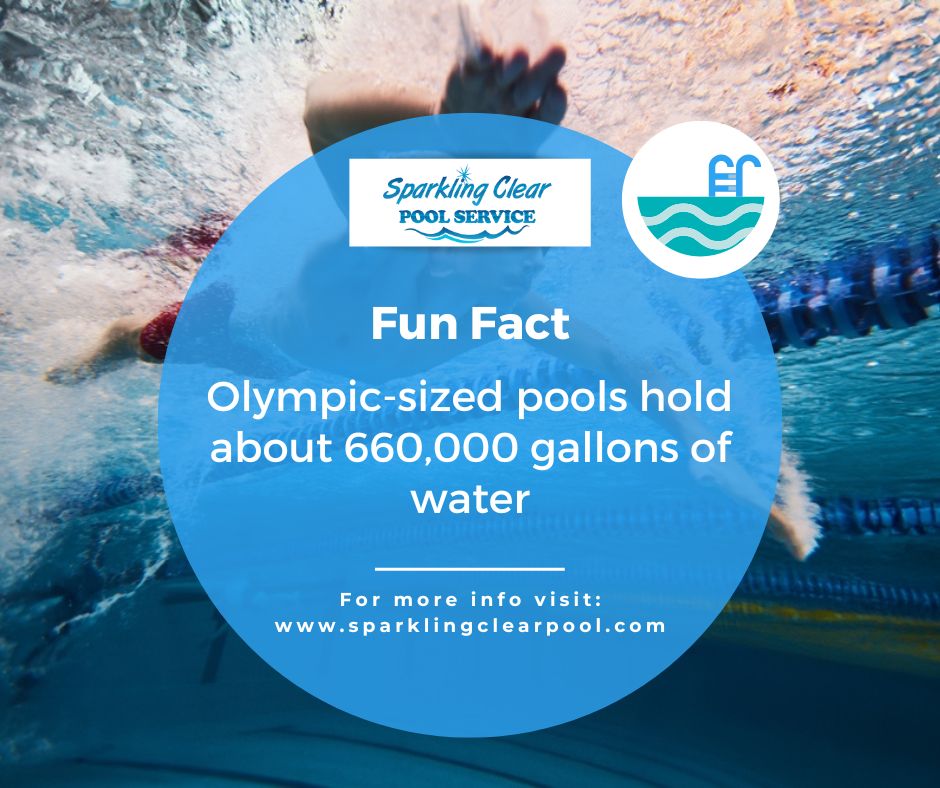 SparkClearPool's tweet image. An Olympic-sized pool holds 660,000 gallons—enough to fill over 13,000 bathtubs! 

#SparklingClearPoolService #SwimmingPoolMaintenance #PoolFunFacts #mckinneytx #mckinneytexas #mckinney #friscotx #friscotexas #allentx #allentexas #allen #fairviewtx #fairviewtexas #texas