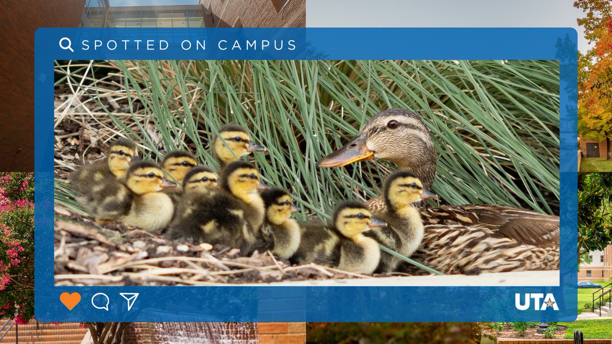 Work At UTA tweet media