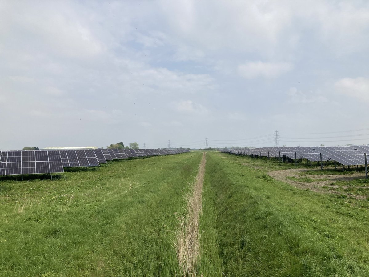 TfL's tweet image. We've signed a 15-year Power Purchase Agreement with @edfenergy 🙌
The contract will create:
-A new solar facility ☀️
-Power for London public transport 🚇
-A boost in National Grid renewables 🌱
-Around 400 green jobs 👷♂️
More info ⬇️
tfl.gov.uk/corporate/abou…