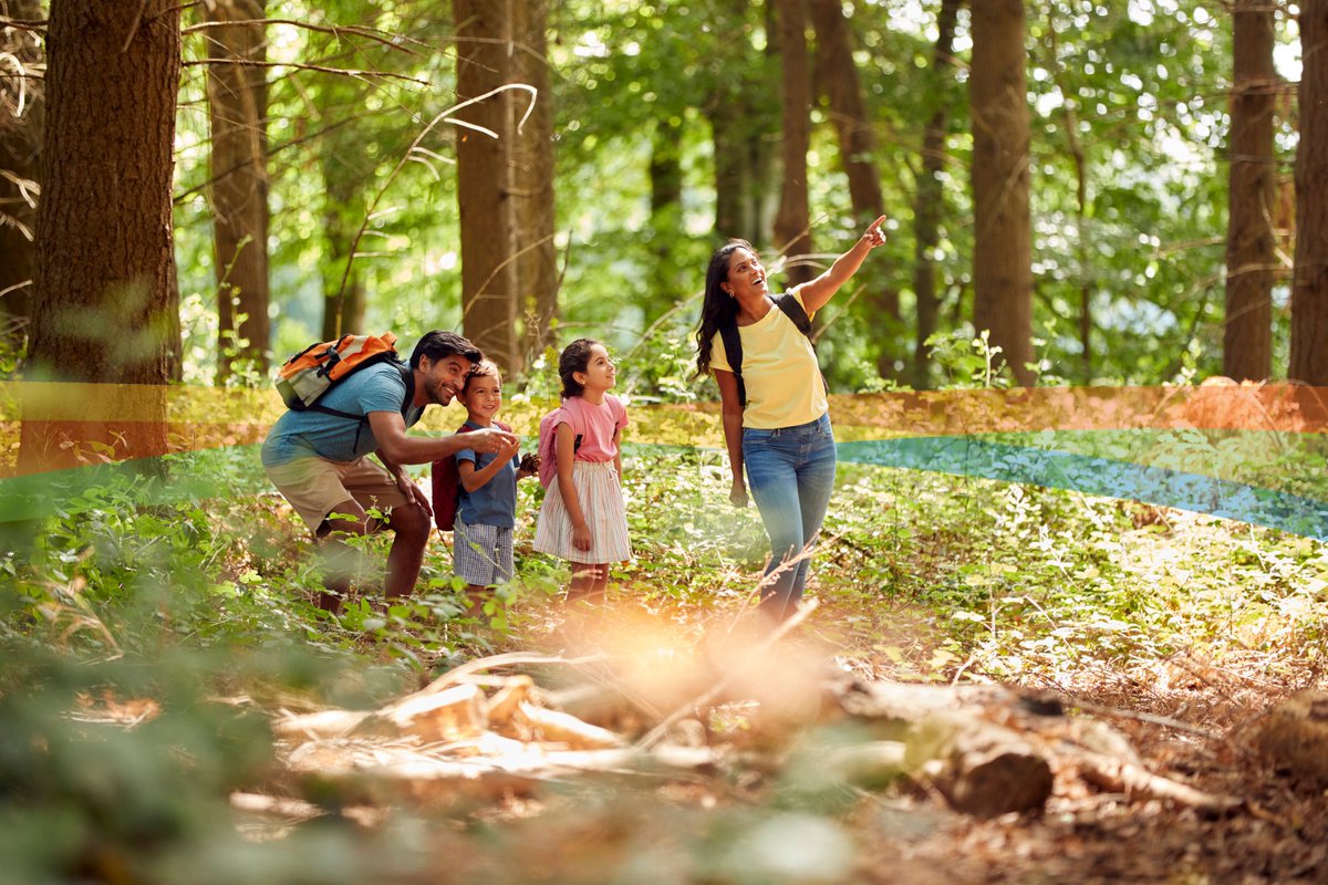 Kenora District Services Board (@thekdsb) on Twitter photo Summer is here! Let us know: What are the best free or low-cost activities during the summer season to do with your family in the #KenoraDistrict? #HelloSummer Summer is here! Let us know: What are the best free or low-cost activities during the summer season to do with your family in the #KenoraDistrict? #HelloSummer