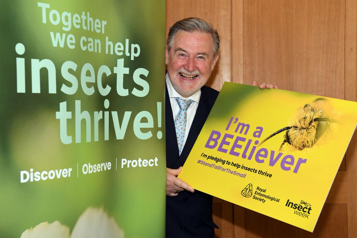 Insect Week (@insectweek) on Twitter photo MPs gathered in Westminster this #InsectWeek to #StandTallForTheSmall & pledge their support for insect life at the launch of a new All Party Parliamentary Group (#APPG) 🐝
🪲🪶 Sign the #Pledge today & help insects thrive 🔽
royensoc.co.uk/news/mp-pledge…
<a href="/BarryGardiner/">Barry Gardiner MP</a> <a href="/libdemdaisy/">Daisy Cooper MP 🔶</a> MPs gathered in Westminster this #InsectWeek to #StandTallForTheSmall & pledge their support for insect life at the launch of a new All Party Parliamentary Group (#APPG) 🐝
🪲🪶 Sign the #Pledge today & help insects thrive 🔽
royensoc.co.uk/news/mp-pledge…
<a href="/BarryGardiner/">Barry Gardiner MP</a> <a href="/libdemdaisy/">Daisy Cooper MP 🔶</a>
