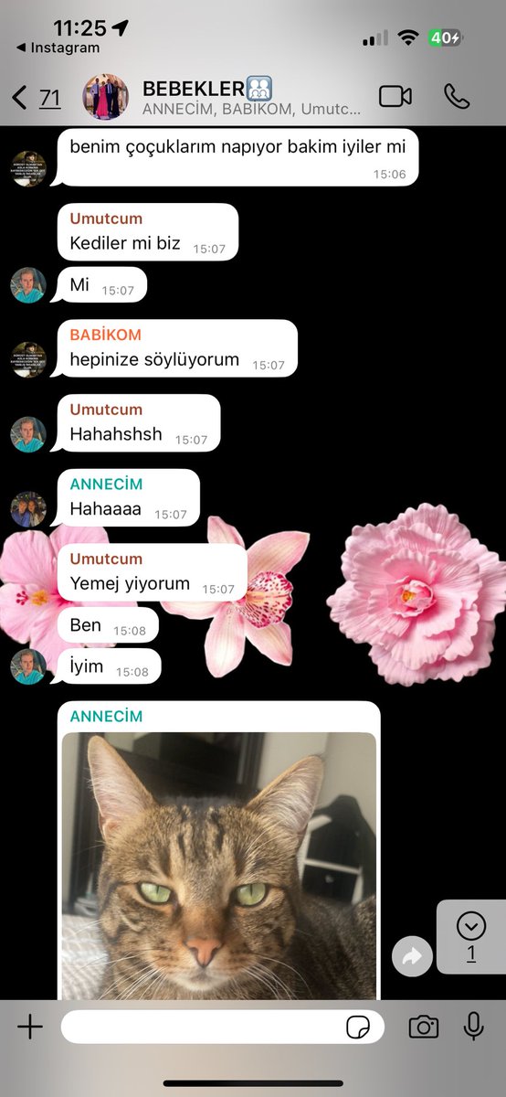 Babamın kedi sevgisi ektedir💁🏼‍♀️