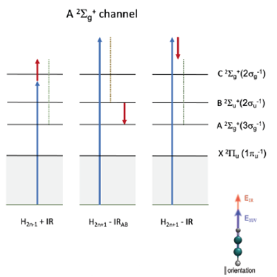 Editors' suggestion: Three-path interferences in the reconstruction of attosecond beatings by interference of two-photon transitions in molecules
go.aps.org/44c6dir