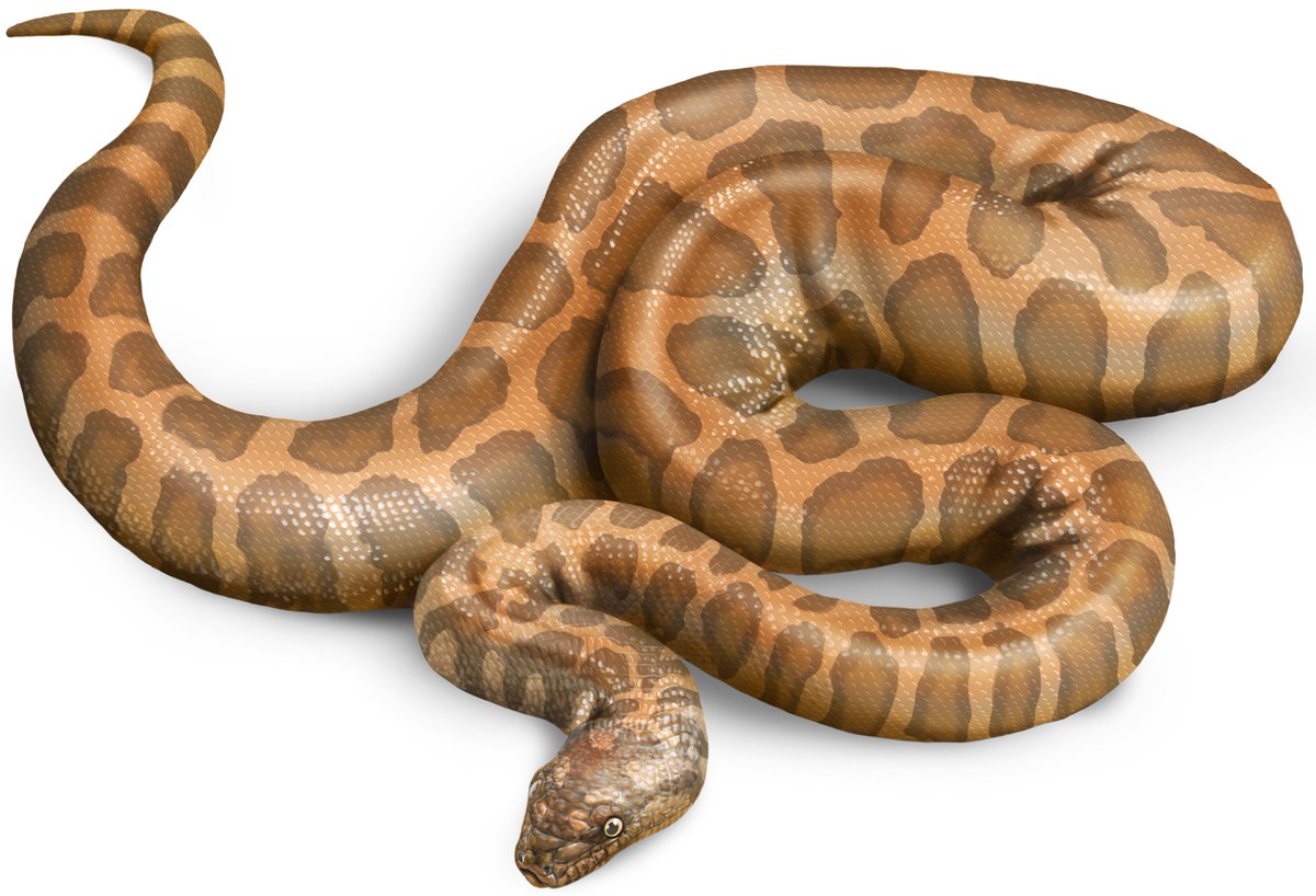 Dr. Georgios Georgalis tweet media