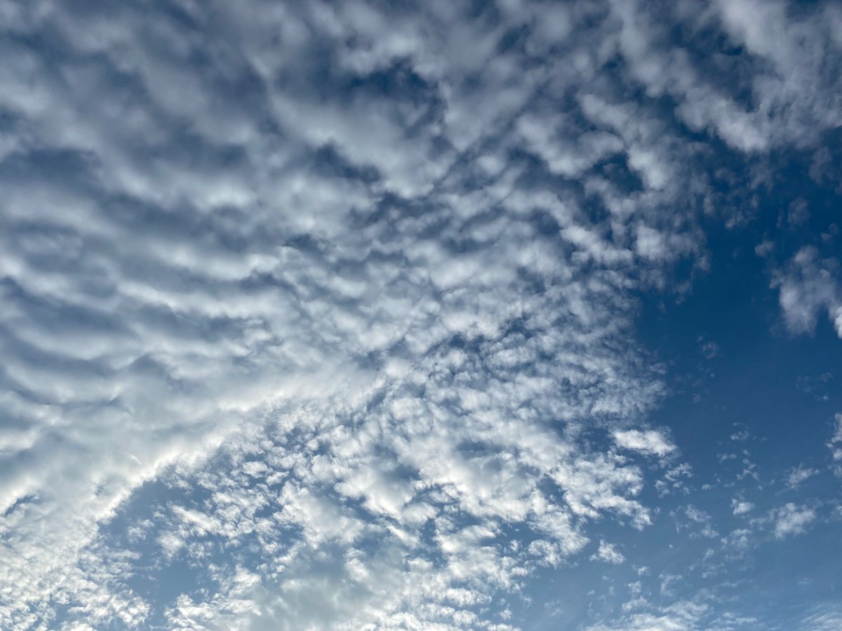 julesof1's tweet photo. First picture is two days ago. Beautiful blue skies for five days. Yesterday morning spraying begins. Then today.  #Chicago #StopSpraying #SkyPictures @POTUS @clearskiesinitiative https://t.co/c3kWwBfWag