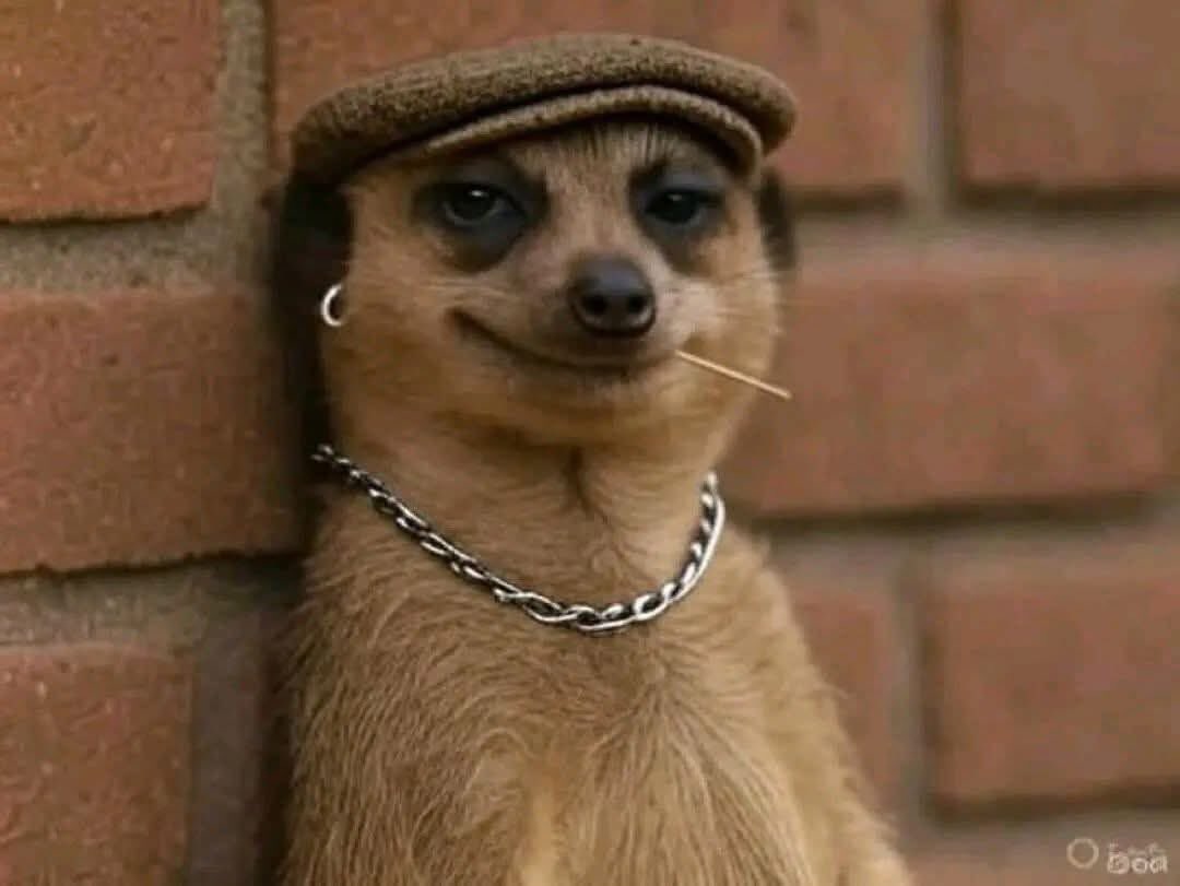 abrahamofthings's tweet image. Client: Your pricing is so high, can we make it half the price?

Me: