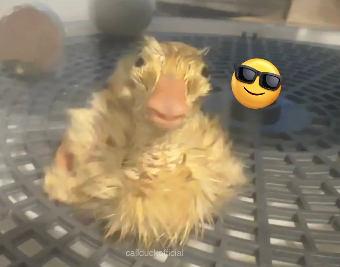 czerninlover's tweet image. let’s be broke together !! #fancyhats