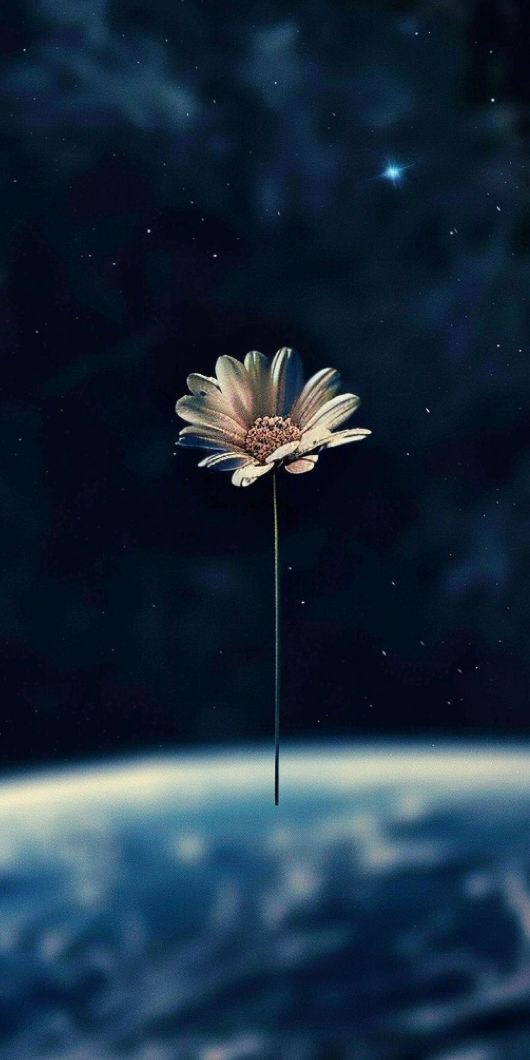 #vss365
Feathers are astronaut flowers. In a bird vase &amp; watered blue w/ waves of summer breeze on shores of clouds. At night, #starscapes huddle into prisms of dark gardens. One flutter &amp; dropped I handed to you. A bouquet of flight in your eyes. Sleep landed &amp; blinking dreams.