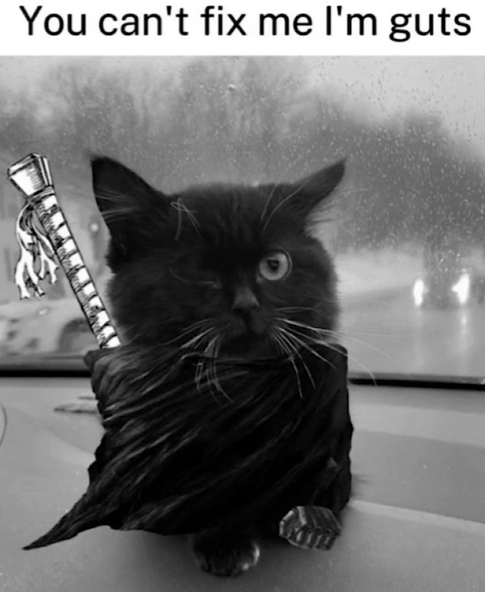 Berserk Daily 𒉭 (@berserkdaily_) on Twitter photo 